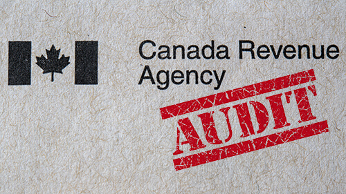 get-a-business-accountant-in-case-of-the-cra-audit